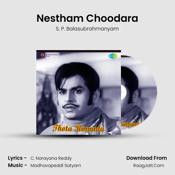 Nestham Choodara MP3 Song by S. P. Balasubrahmanyam Cover