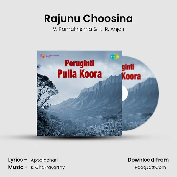 Poruginti Pulla Koora - V. Ramakrishna