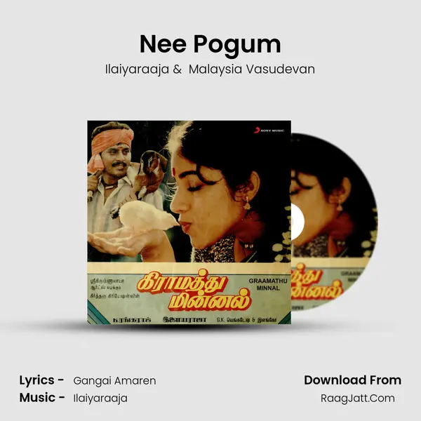 Nee Pogum MP3 Song by Ilaiyaraaja Cover
