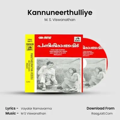 Kannuneerthulliye MP3 Song by M. S. Viswanathan Cover