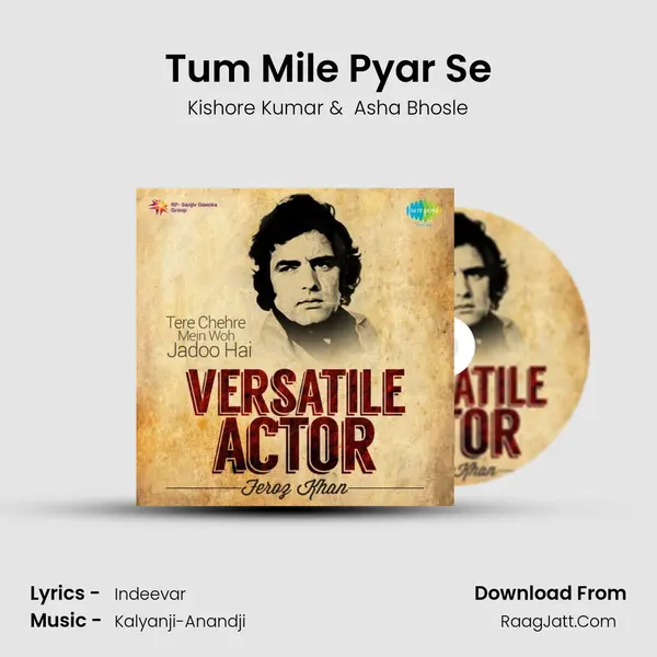 Tum Mile Pyar Se Cover