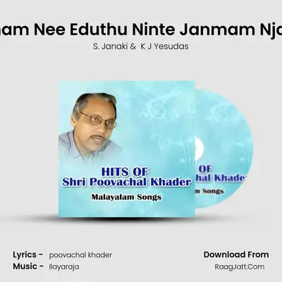 Ente Janmam Nee Eduthu Ninte Janmam Njaaneduthu Cover