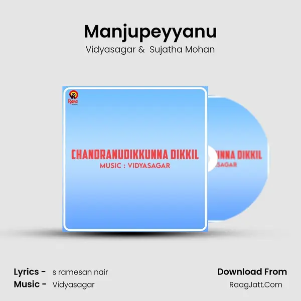 Manjupeyyanu MP3 Song by Vidyasagar Cover