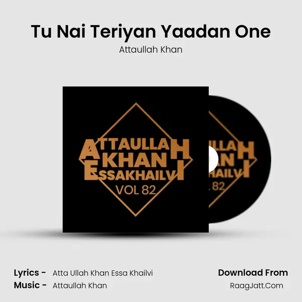 Tu Nai Teriyan Yaadan One MP3 Song by Attaullah Khan Cover