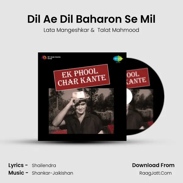Dil Ae Dil Baharon Se Mil Cover