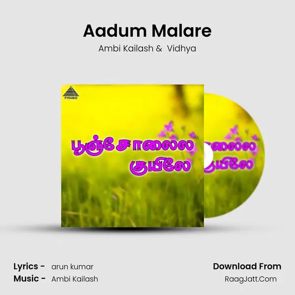 Aadum Malare MP3 Song by Ambi Kailash Cover
