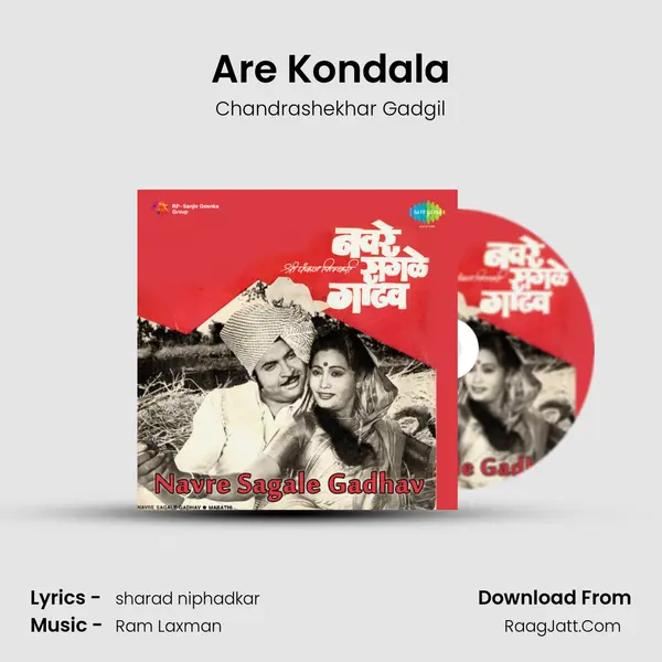 Are Kondala MP3 Song by Chandrashekhar Gadgil Cover