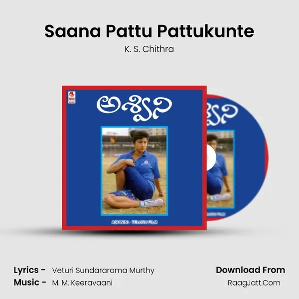 Saana Pattu Pattukunte MP3 Song by K. S. Chithra Cover