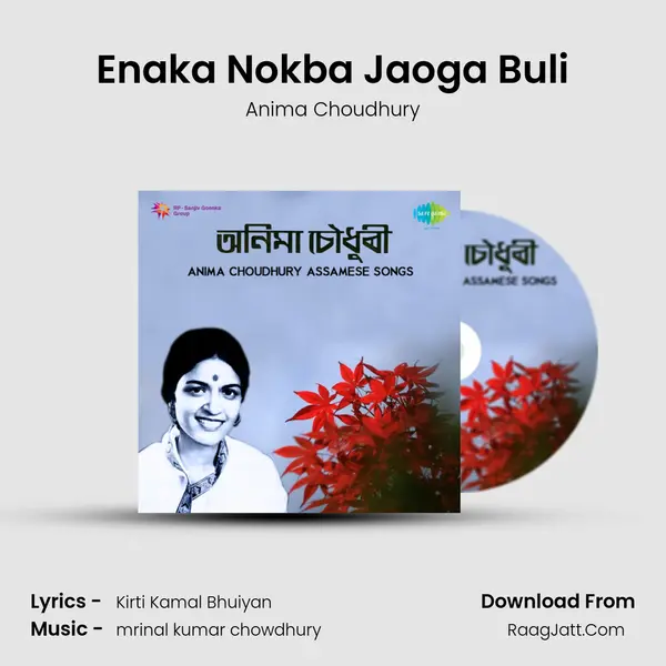 Enaka Nokba Jaoga Buli MP3 Song by Anima Choudhury Cover