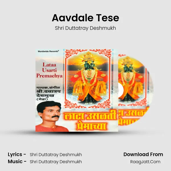 Aavdale Tese MP3 Song by Shri Duttatray Deshmukh Cover