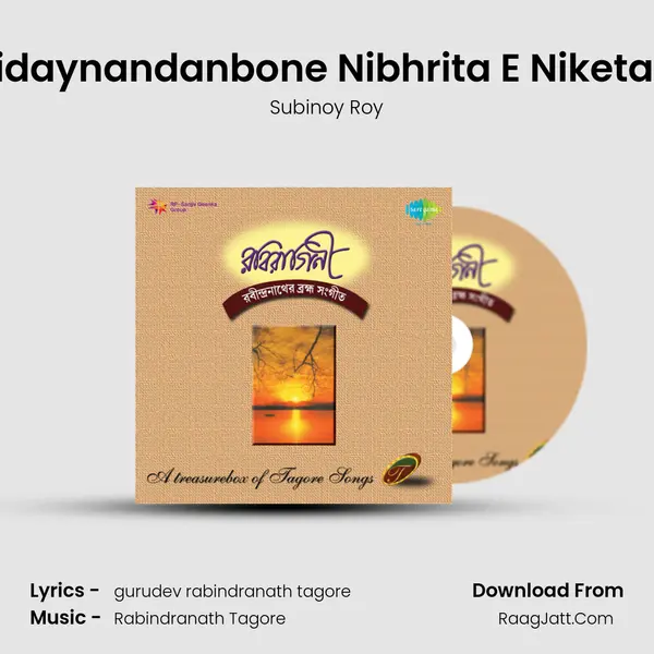 Hridaynandanbone Nibhrita E Niketane MP3 Song by Subinoy Roy Cover