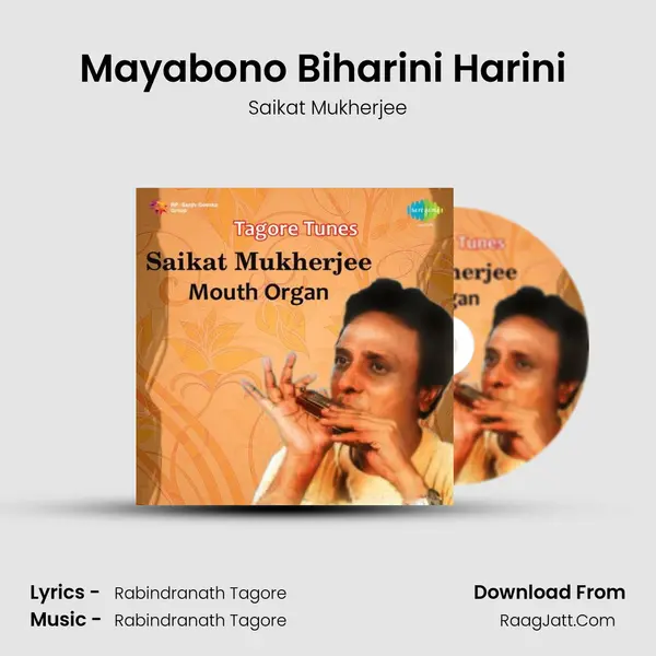 Mayabono Biharini Harini (Instumental) MP3 Song by Saikat Mukherjee Cover