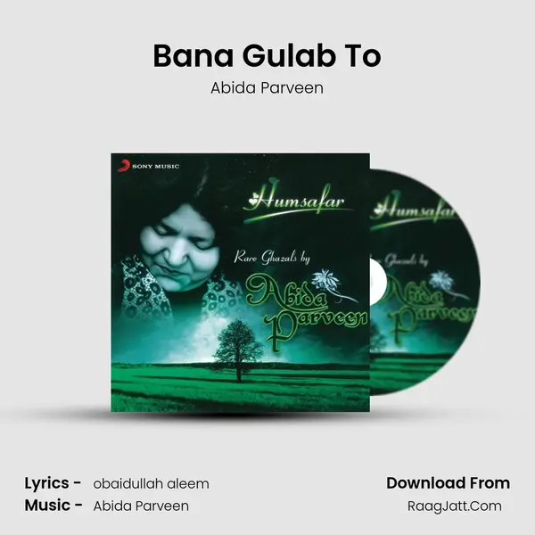 Bana Gulab To MP3 Song by Abida Parveen Cover