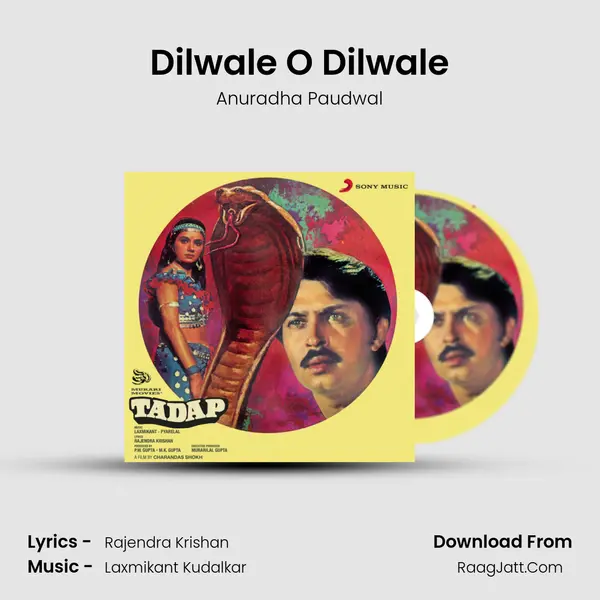 Dilwale O Dilwale MP3 Song by Anuradha Paudwal Cover
