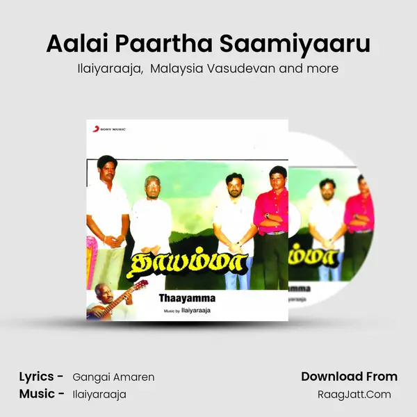Aalai Paartha Saamiyaaru MP3 Song by Ilaiyaraaja Cover