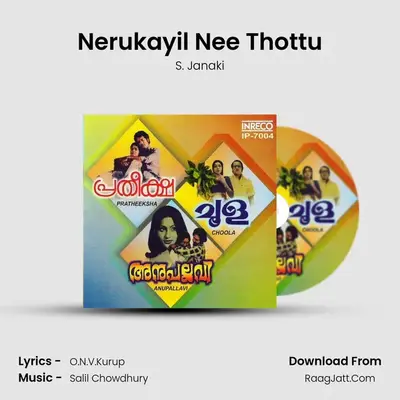 Nerukayil Nee Thottu Cover