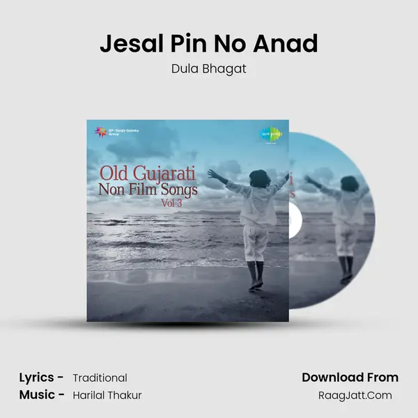 Jesal Pin No Anad MP3 Song by Dula Bhagat Cover