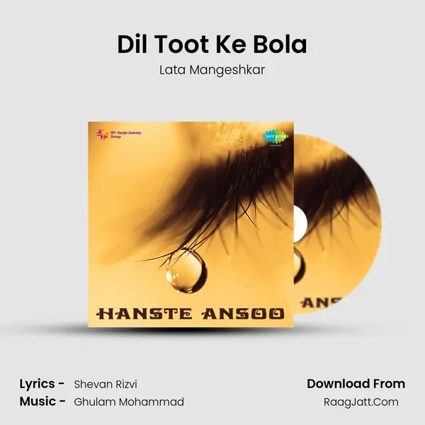 Dil Toot Ke Bola MP3 Song by Lata Mangeshkar Cover