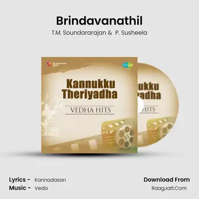 Brindavanathil MP3 Song by T.M. Soundararajan Cover