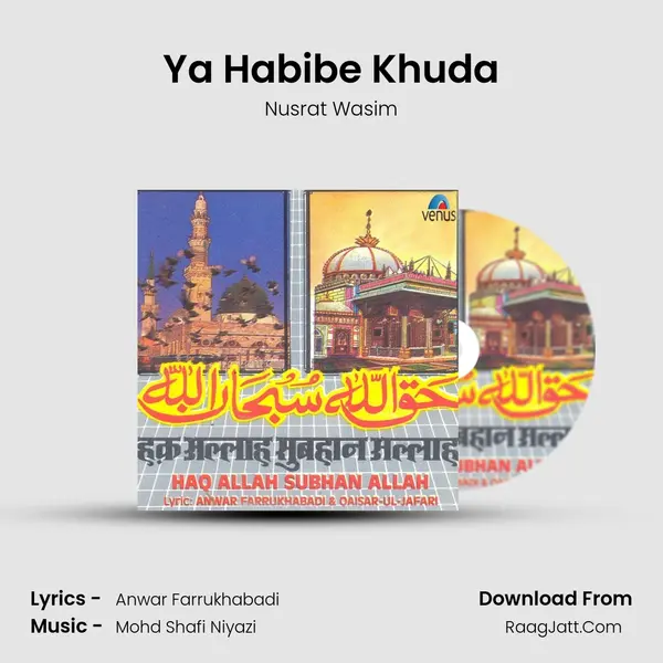 Ya Habibe Khuda MP3 Song by Nusrat Wasim Cover
