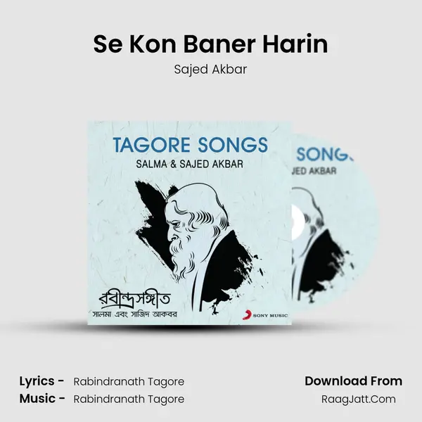 Se Kon Baner Harin mp3 song