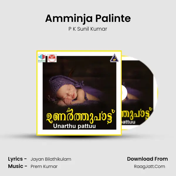 Amminja Palinte MP3 Song by P K Sunil Kumar Cover