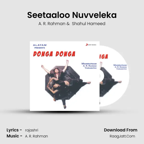 Seetaaloo Nuvveleka MP3 Song by A. R. Rahman Cover