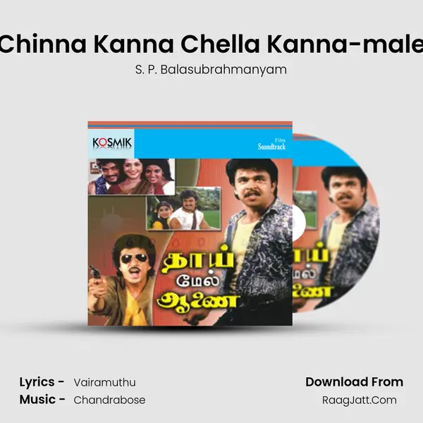 Chinna Kanna Chella Kanna-male MP3 Song by S. P. Balasubrahmanyam Cover