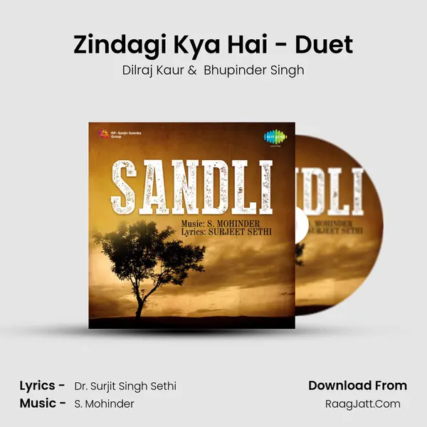 Zindagi Kya Hai - Duet MP3 Song by Dilraj Kaur Cover