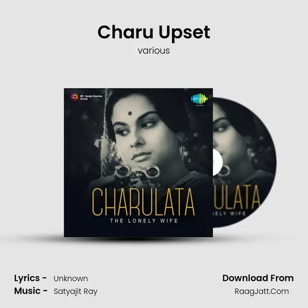 Charu Upset MP3 Song by various Cover