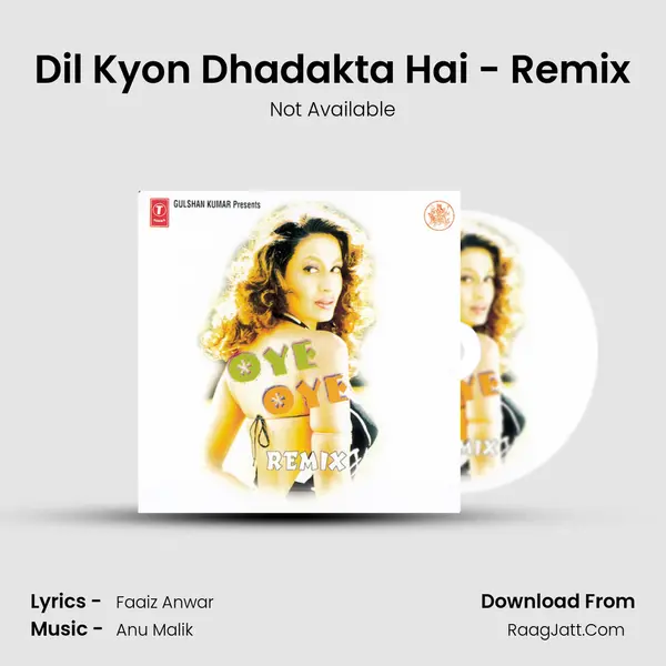 Dil Kyon Dhadakta Hai - Remix MP3 Song by Not Available Cover