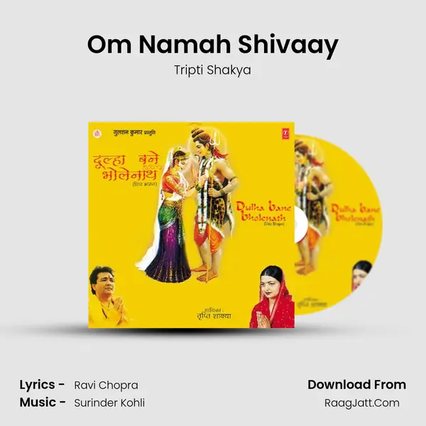 Om Namah Shivaay MP3 Song by Tripti Shakya Cover