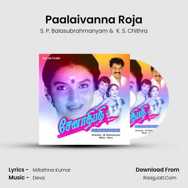 Paalaivanna Roja MP3 Song by S. P. Balasubrahmanyam Cover
