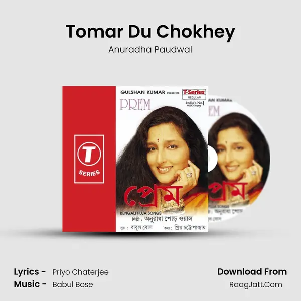 Tomar Du Chokhey MP3 Song by Anuradha Paudwal Cover