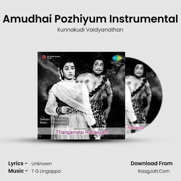 Amudhai Pozhiyum Instrumental MP3 Song by Kunnakudi Vaidyanathan Cover