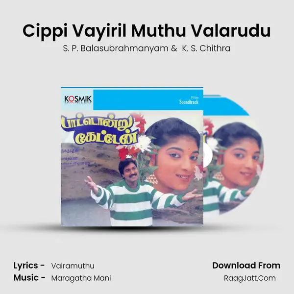 Cippi Vayiril Muthu Valarudu MP3 Song by S. P. Balasubrahmanyam Cover