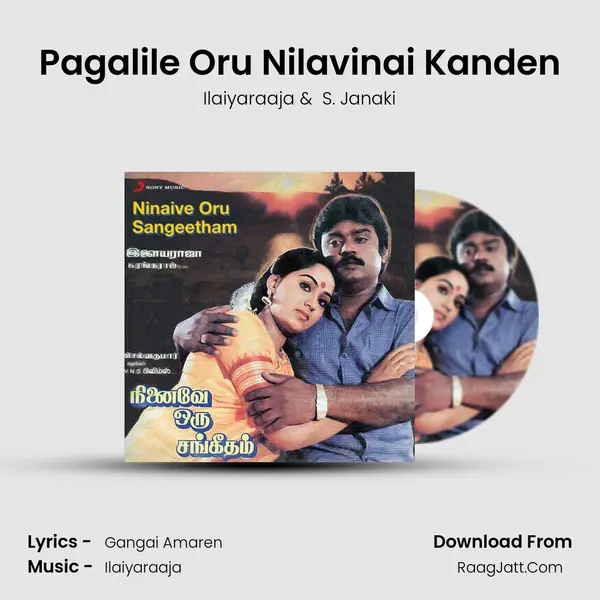 Pagalile Oru Nilavinai Kanden MP3 Song by Ilaiyaraaja Cover