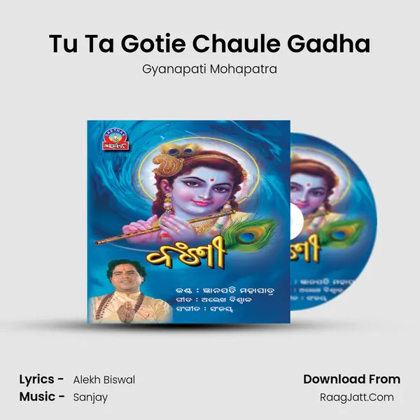 Tu Ta Gotie Chaule Gadha MP3 Song by Gyanapati Mohapatra Cover