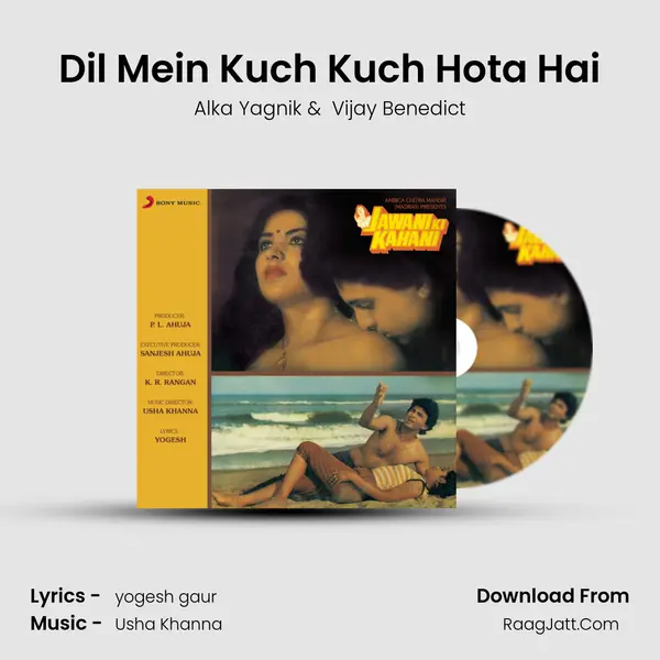 Dil Mein Kuch Kuch Hota Hai MP3 Song by Alka Yagnik Cover