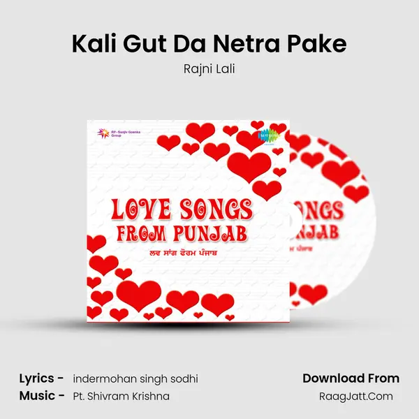 Kali Gut Da Netra Pake MP3 Song by Rajni Lali Cover
