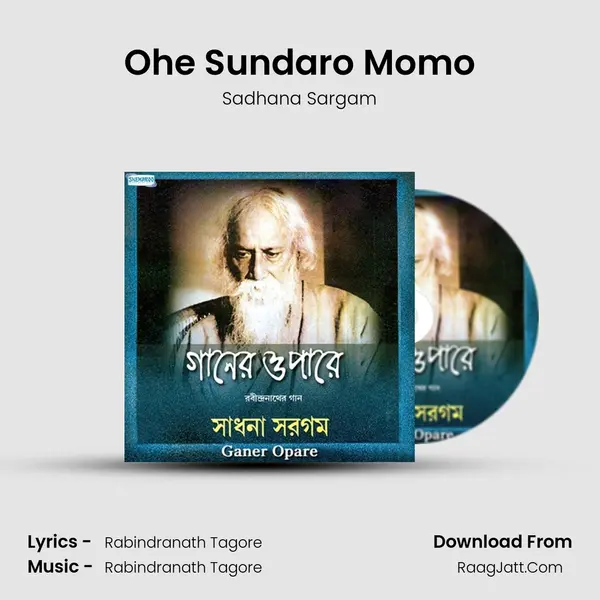 Ohe Sundaro Momo MP3 Song by Sadhana Sargam Cover
