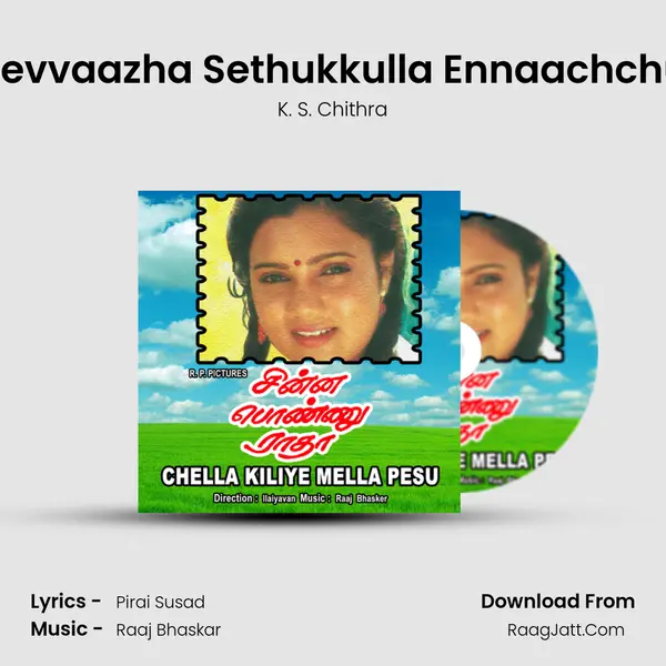 Sevvaazha Sethukkulla Ennaachchu MP3 Song by K. S. Chithra Cover