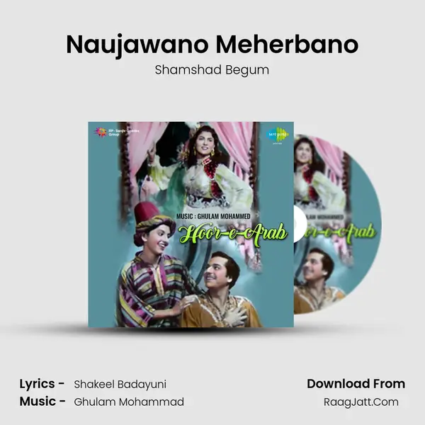 Naujawano Meherbano Cover