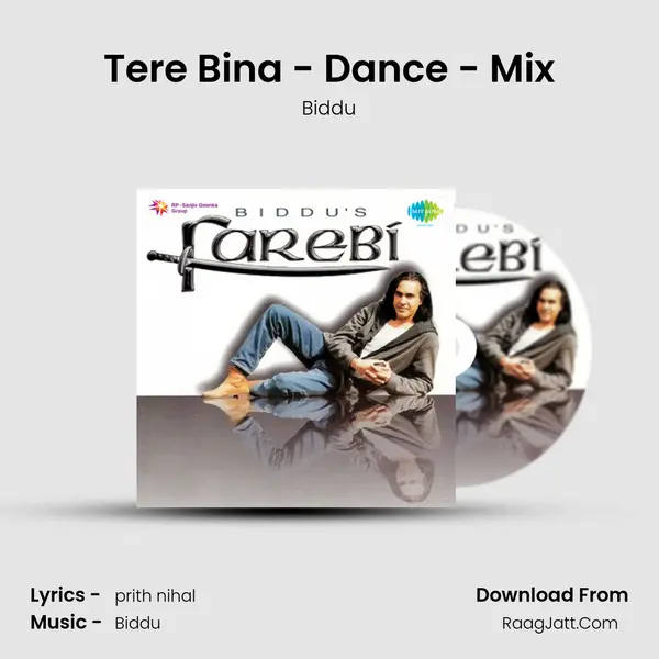 Tere Bina - Dance - Mix MP3 Song by Biddu Cover