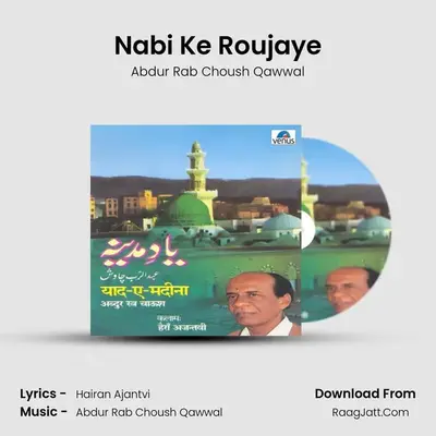 Nabi Ke Roujaye MP3 Song by Abdur Rab Choush Qawwal Cover