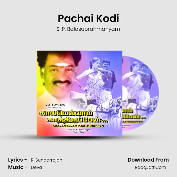 Pachai Kodi MP3 Song by S. P. Balasubrahmanyam Cover
