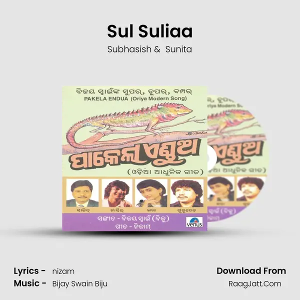 Sul Suliaa MP3 Song by Subhasish Cover