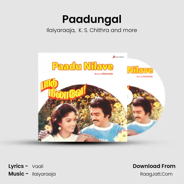 Paadungal MP3 Song by Ilaiyaraaja Cover