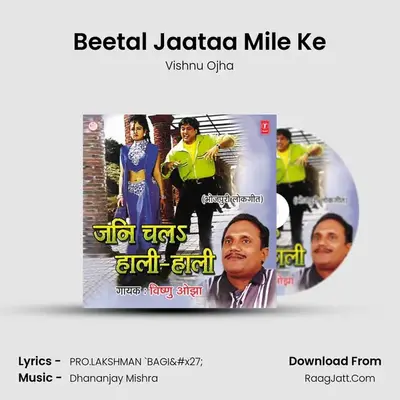 Beetal Jaataa Mile Ke MP3 Song by Vishnu Ojha Cover