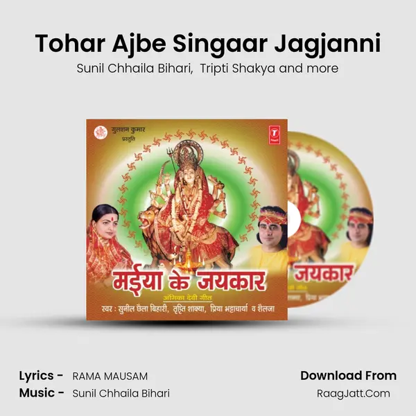 Tohar Ajbe Singaar Jagjanni MP3 Song by Sunil Chhaila Bihari Cover